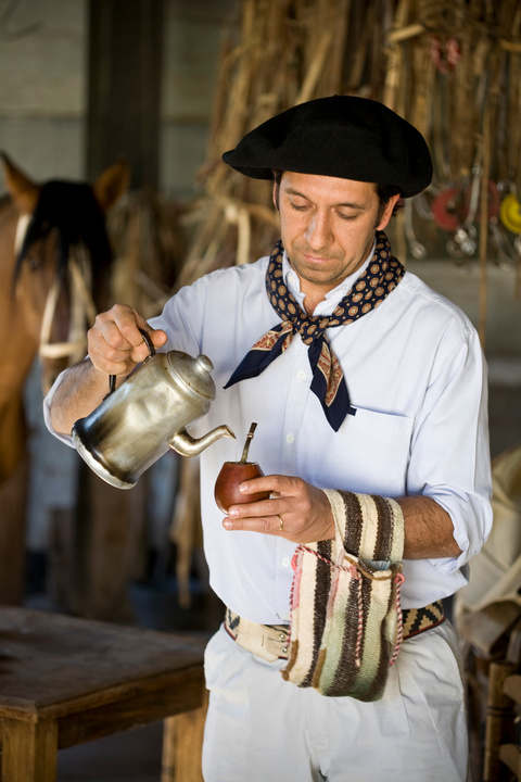 Gaucho